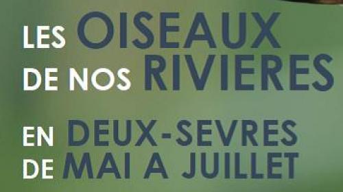 affiche_oiseaux_riviere.jpg